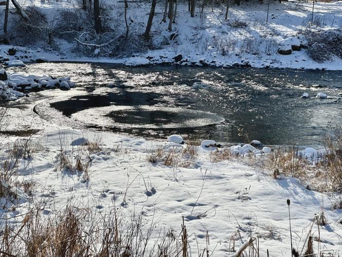 Reader Pics: Jan. 21