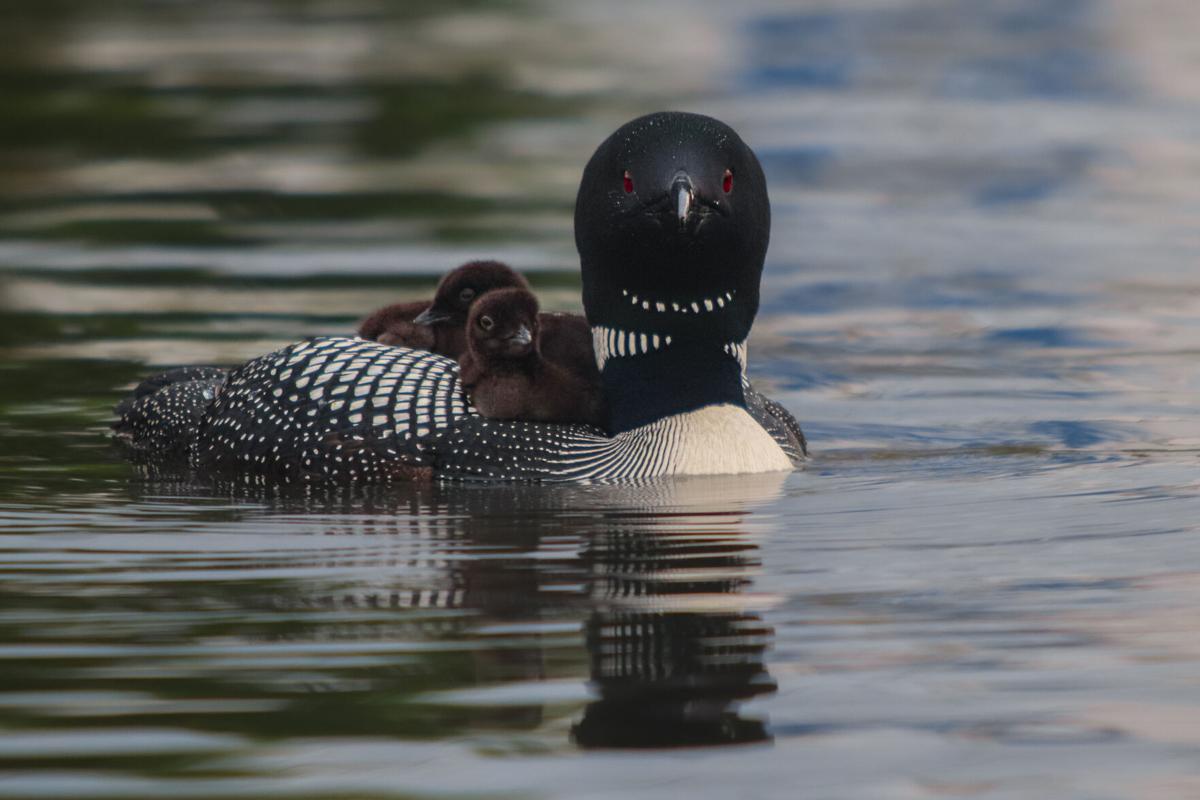 Reader Pics: July 27