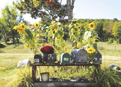 mailboxes