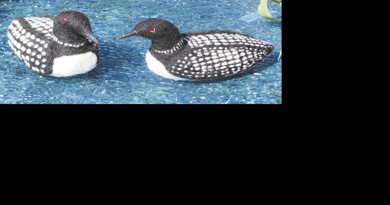 Needle-felt a loon on July 12 in Center Sandwich | Announcements ...