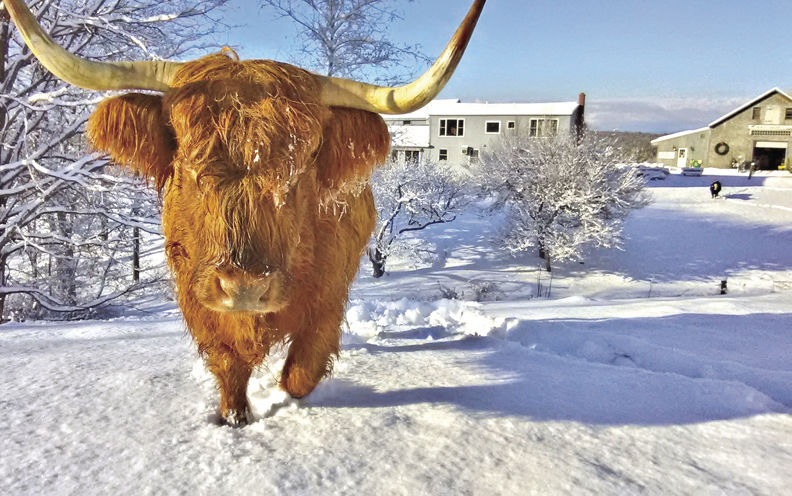 1-17 outdoors Angelina