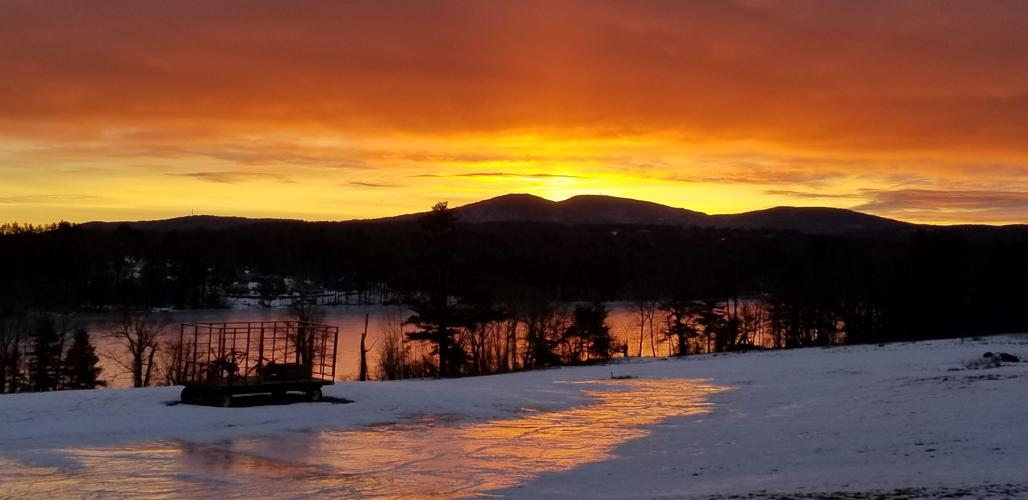 Reader Pics: Feb. 12