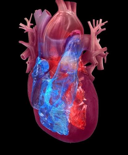Chemicals in vapes may trigger potentially deadly cardiac arrest, suggests study