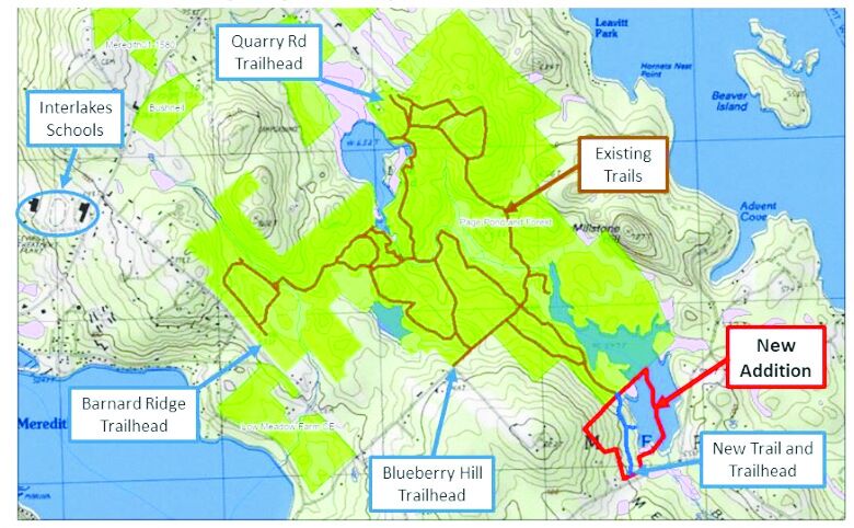Forest map