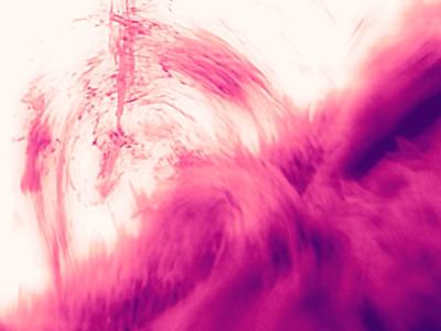 suncapture_featured