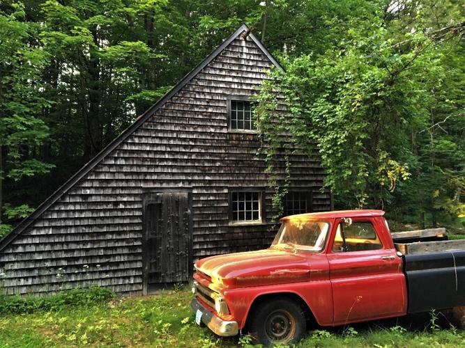 Reader Pics: June 25