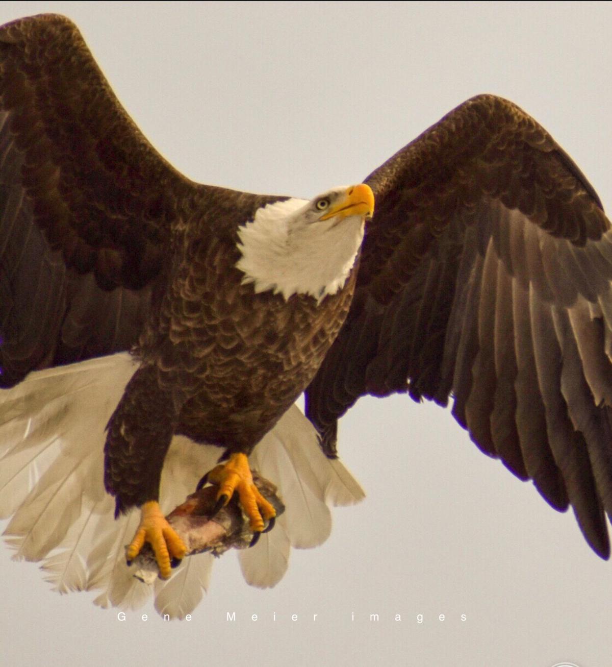 Reader Pics: March 2