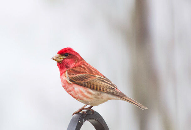 Reader Pics: April 30