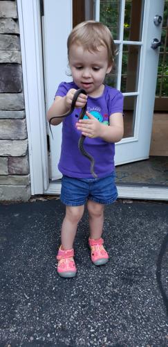 Reader Pics: Aug. 20 - Snake charmer