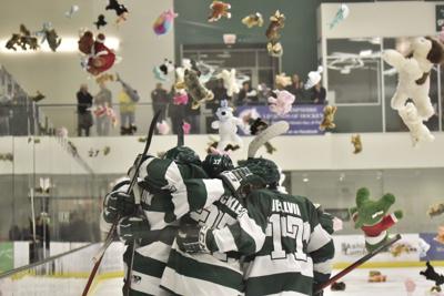 Teddy Bear Toss