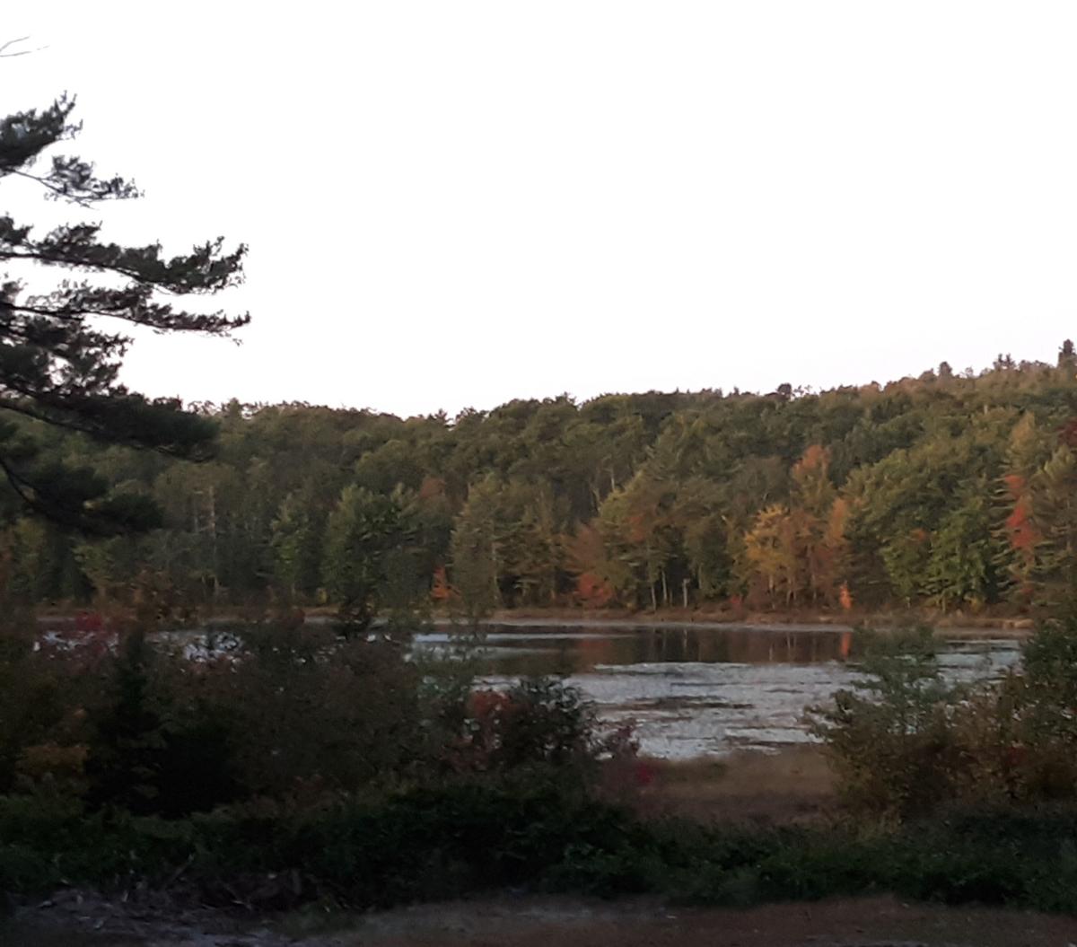 Reader Pics: Oct. 7