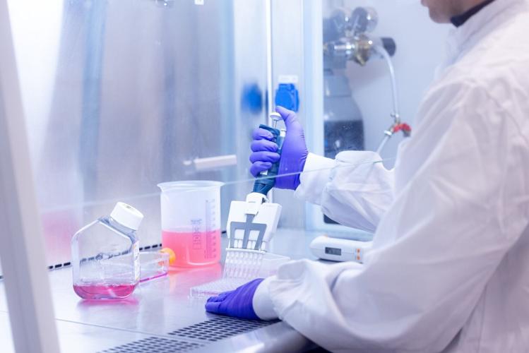 Inside the laboratory working on a vaccine for hantavirus