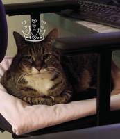 Belknap Buzz: Popping fun at Belknap County Nursing Home