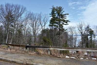 Gilford enlists Joe Kenney’s help in restoring scenic vista by park
