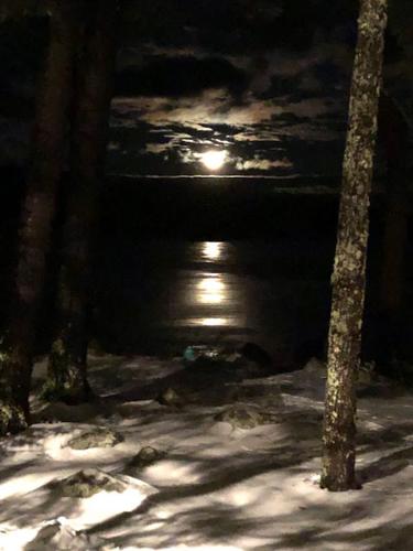 Reader Pics: Feb. 19