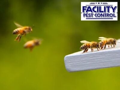 Facility Pest Control Addresses Neighborhood-Specific Pest Trends Across Calabasas Communities