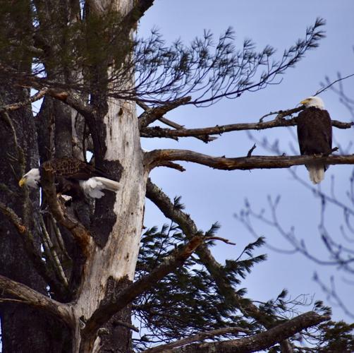 Reader Pics: March 2