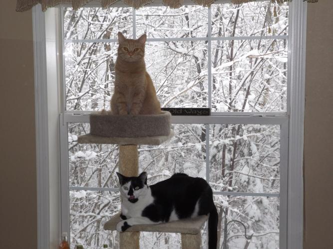 Reader Pics: Jan. 15