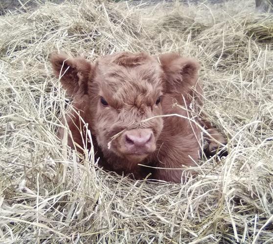 05-01 OUTDOORS Baby_InPixio.jpg