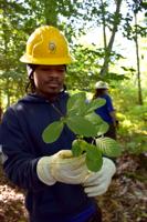 Students from around country help keep buckthorn at bay
