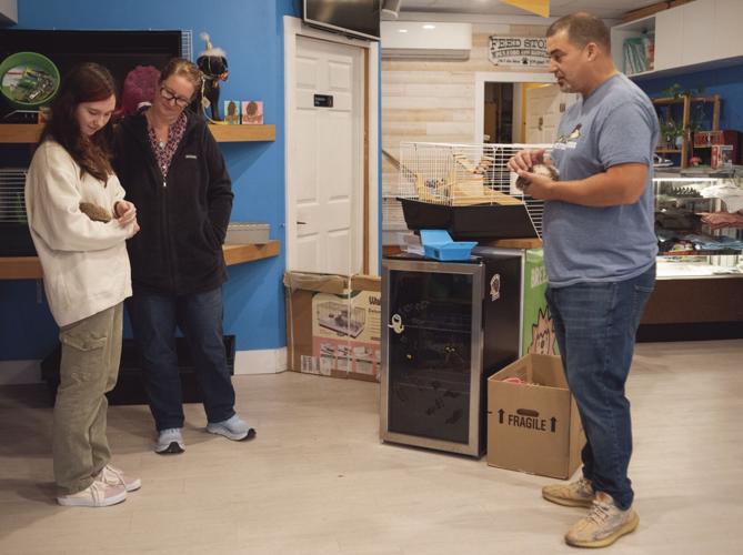 Granite State Hedgehogs