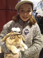 Enough ruckus for New Hampshire