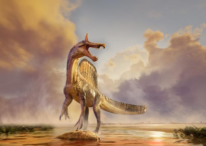 Newly discovered scimitar-crested dinosaur was “hell heron” that fed on fish
