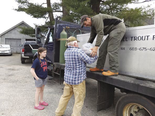 picking up live trout