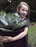 Winners announced for cabbage-growing contest at ILES