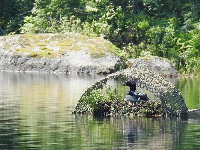 Reader Pics: June 30