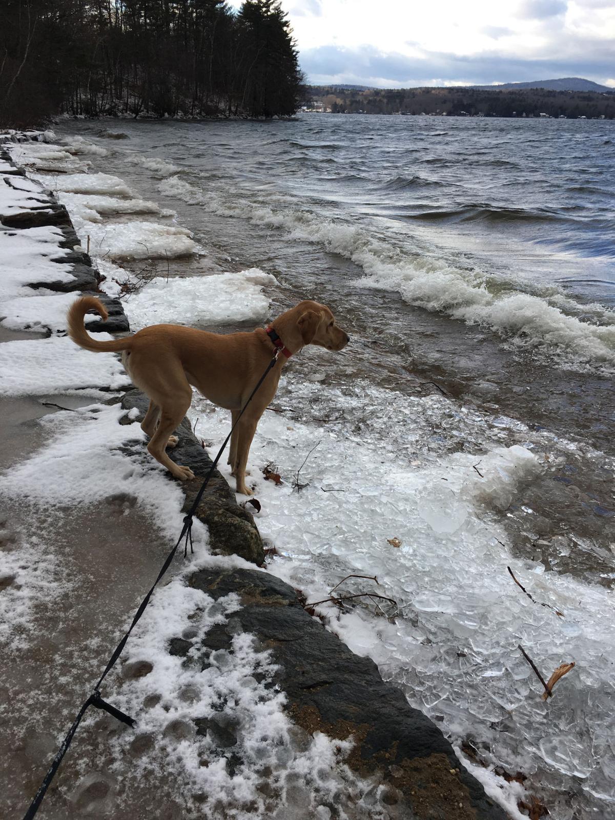 Reader Pics: Jan. 5