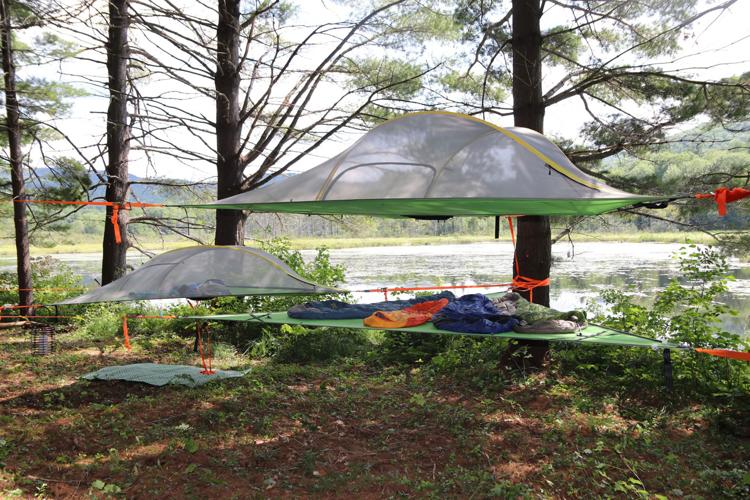 10-19 Pumpkin Tree tent