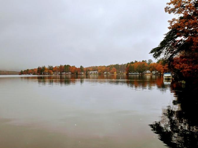 Reader Pics: Nov. 16 - 2