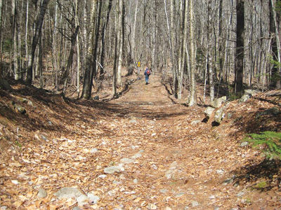 Trail run in Belknap Range set for May 27