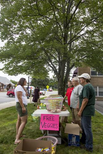 Veggies distribution