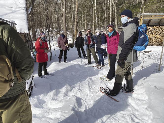Maple sugar intensive