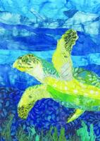 Meredith Craftsmen Fine Craft Gallery  to celebrate turtles