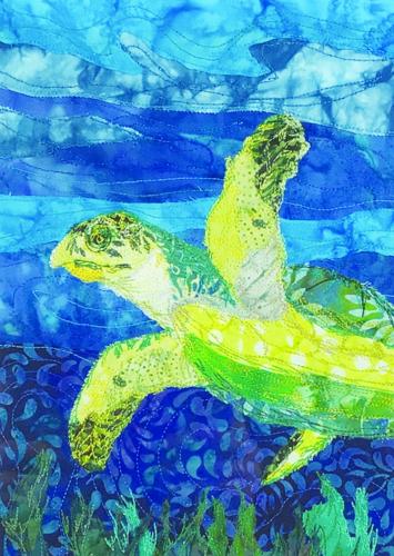 Turtle