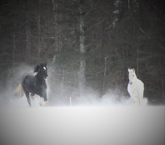 Reader Pics: Jan. 24