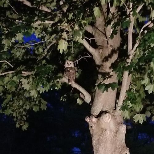 Reader Pics: July 26