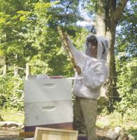 Petal Pushers to host PollinatorPalooza with Bewitched Acres Farms on June 1