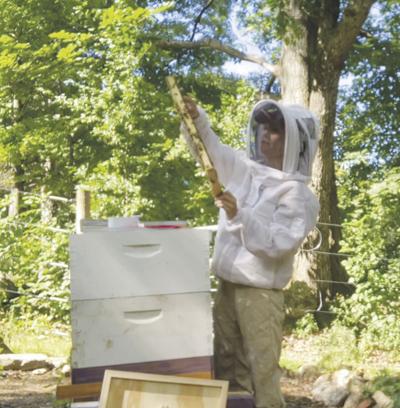 Beekeeper Samantha Stevens