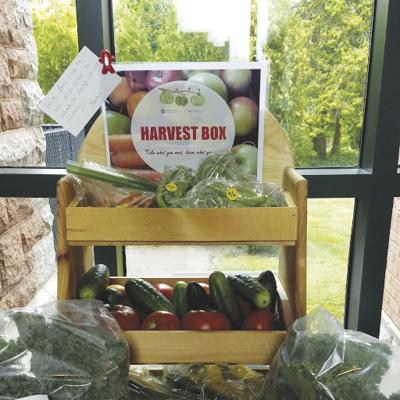 09-14 HARVEST BOX.jpg