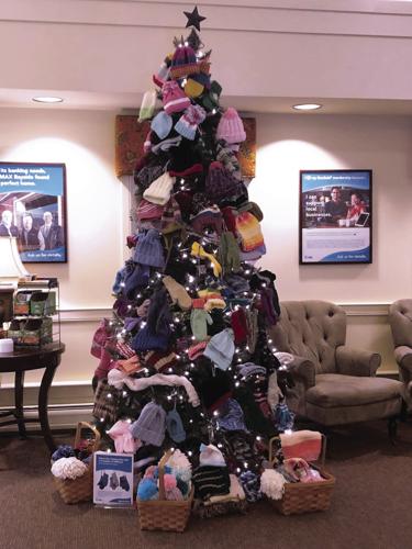 02-12 BUS MVSB Mitten Tree