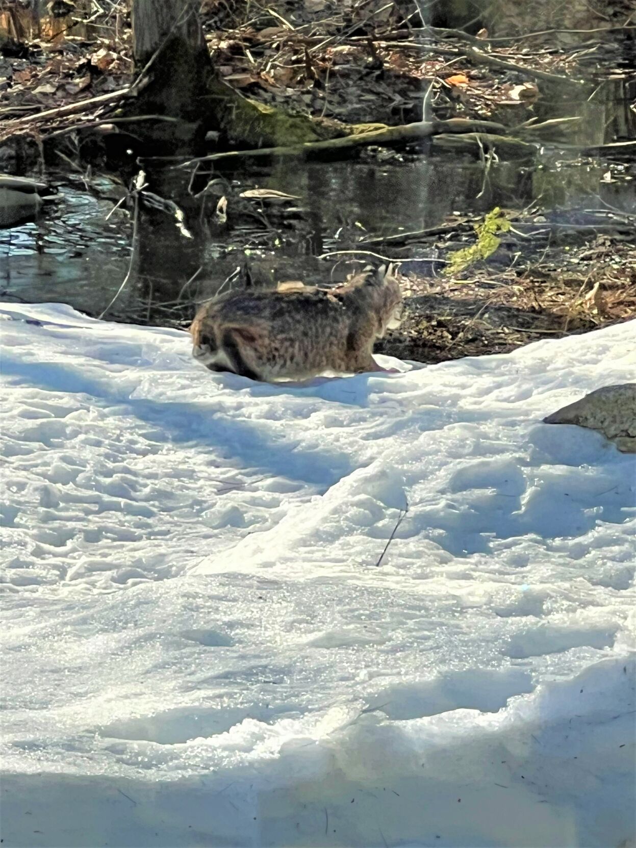 Reader Pics: April 6