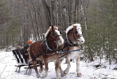 02-14 OUTDOORS Sleigh Ride