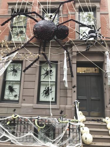 10-30 LS elizabeth IMG_7378.jpg