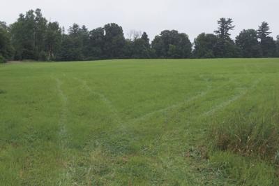 Old North Main parcel