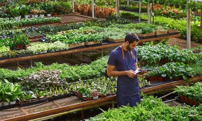 Gen Z Turns the Houseplant Craze into a Lifestyle Trend: Shops Thrive as Gen Z Continues to Nurture the 'Plant Parent' Trend