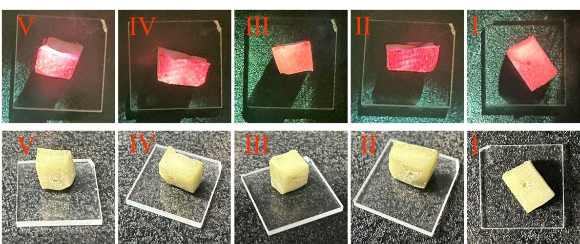 Advanced laser created using just leaves and peanuts